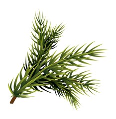 Pine tree branch. Realistic green fir spruce