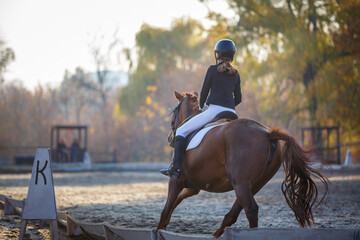 Teenage girl riding horse on equestrian dressage test in autumn.