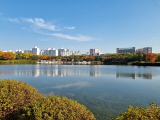 Obraz premium portland state skyline