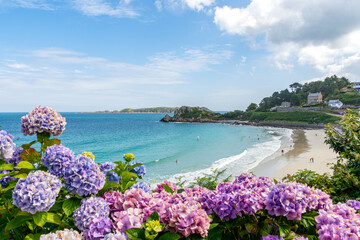 plage de Perros Guirec sous un beau ciel bleu et vue des hortensias