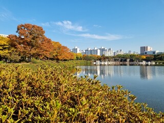 autumn 일산 호수공원
