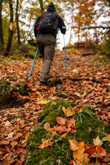 Hiker with trekking poles on autumn forest path