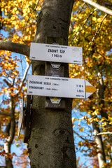 Mountain sign on the tree. Top of the  hill Zadny Sip.