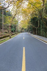 Fototapeta na wymiar asphalt road in autumn mountains