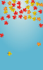 Orange Leaf Background Blue Vector. Plant Tree Template. Brown Ground Leaves. Design Foliage Card.