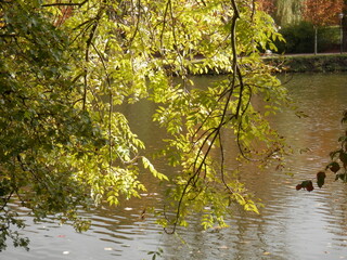 Der Inselzoo im großen Schloßteich in Altenburg