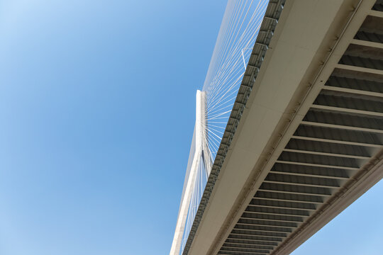 upward view of the cable-stayed bridge