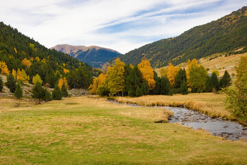 View of the valley of Incles with a river and a forest in the middle of autumn with ocher colors in its trees, surrounded by high mountains. - Vall d'Incles, Amdorra - obrazy, fototapety, plakaty