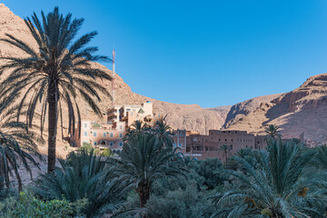 Palme und Dorf in der Todra Schlucht in Marokko