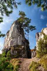 Fototapeta na wymiar Rock formations in forest. Hill Sip in Slovakia