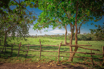 Fototapeta na wymiar Wooden fence in foreground rural natural landscape