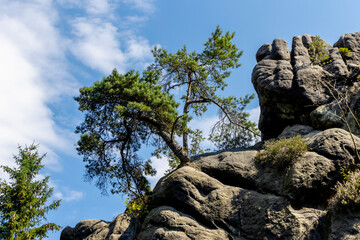 Externsteine rock formation in front of Teutoburg Forest - Teutoburger Wald / Niedersachsen /...
