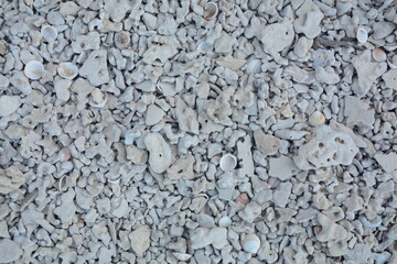 Abstract  different shapes pebbles sea texture background