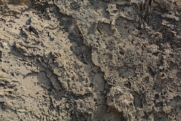 A kurkar sandstone formations close up. Mediterranean sea coastline