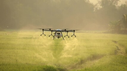 Agriculture drone fly to sprayed fertilizer on the rice field. industrial revolution.