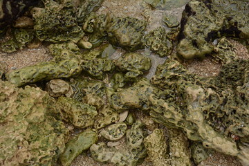A kurkar sandstone formations close up. Mediterranean sea coastline