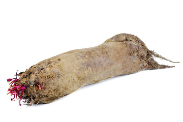 Beetroot isolated on white background