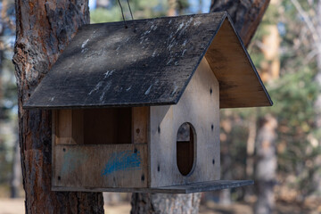 wooden bird house