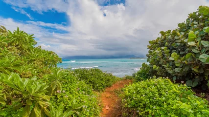  Path to the blue ocean. Along the edges of the trail are lush green thickets. Blue sky with beautiful clouds. © Alexsandr