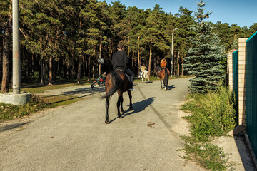 A group of horse riders gallops along the road.