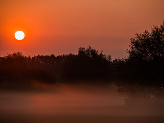 Sonnenaufgang über einer Wiese mit Nebel