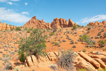 Rock formations in Arches National Park.