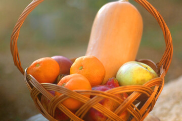 Vintage basket with butternut squash and various fruit in the garden. Selective focus.