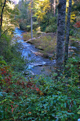 Fall Colors on the Blue River Parkway