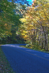 Fall Colors on the Blue River Parkway