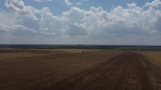 combine harvester harvests wheat in the field, video of the drone moving backwards