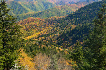 Fall Colors on the Blue River Parkway