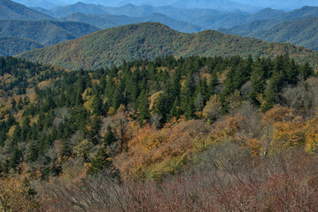 Fall Colors on the Blue River Parkway