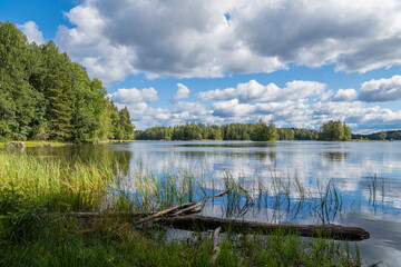 Summer view of Liesjarvi National Park and Lake, Tammela, Finland