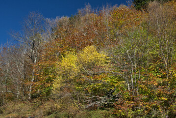 Fall Colors on the Blue River Parkway