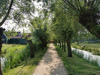 path in the park