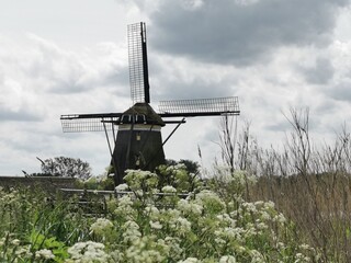 windmill © Katarzyna
