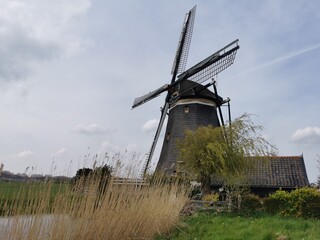 windmill in the country © Katarzyna