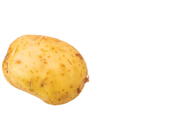 Close up view of yellow sort of potatoes isolated on white background. 