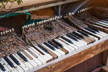 old mysterious piano keys percussion mechanism in the web halloween decor