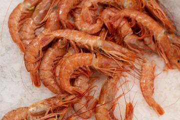 Red argentine shrimps on an ice for sale