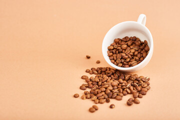 Coffee beans in coffee cup on pastel background. Space fot text