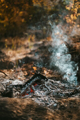 Bonfire in the autumn forest. Vertical photo orientation
