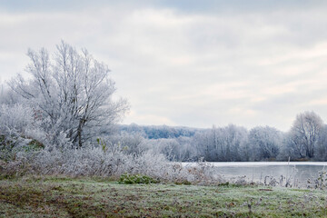 Winter morning by the river. Trees and grass on the shore river are covered with thick frost  in winter morning