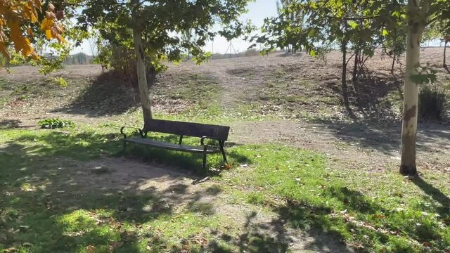 Banco de oto&ntilde;o