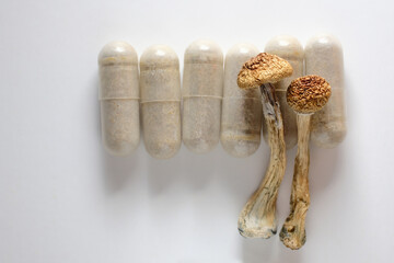 Micro dosing concept. Dry psilocybin mushrooms and natural herbal pills on white background....
