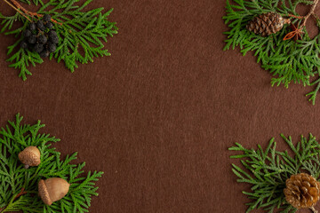 Stylish christmas composition, spruce branches on brown felt background, copy space