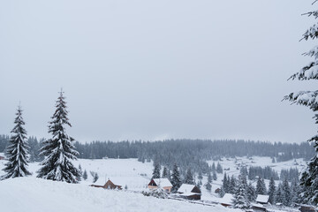 Landscape of a snowed in valley on a snowy day with beautiful view of a pine forest covered in snow.