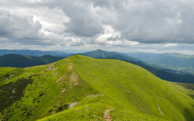 Fototapeta premium Beautiful Carpathian with hilly mountains. Summer mountains green grass and blue sky landscape 