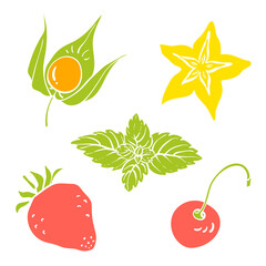 Set of fruits and berries for dessert decoration. Colorful paper cut collection of fruits and berries isolated on white background. Doodle hand drawn fruits. Vector illustration