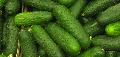 Fresh green cucumber texture or pattern, high quality. Healthy food concept photo